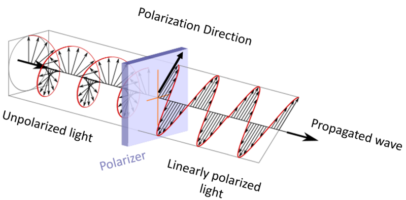 File:Light Polarization Diagram en.png