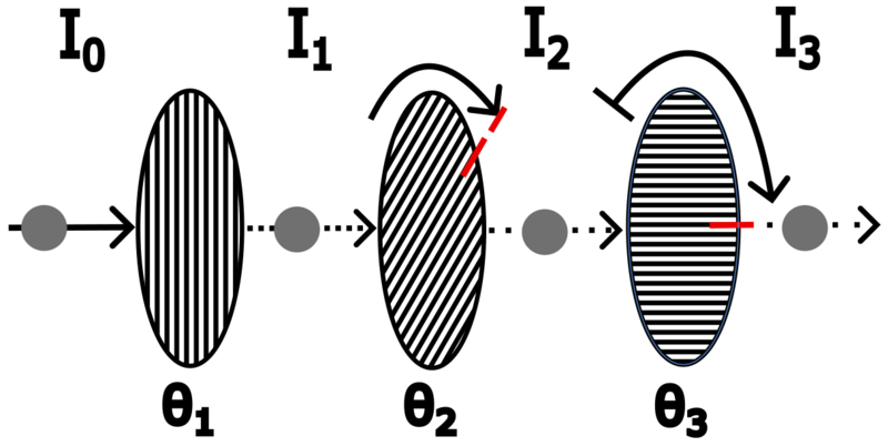 File:Experimental SetUp Polaroid.png